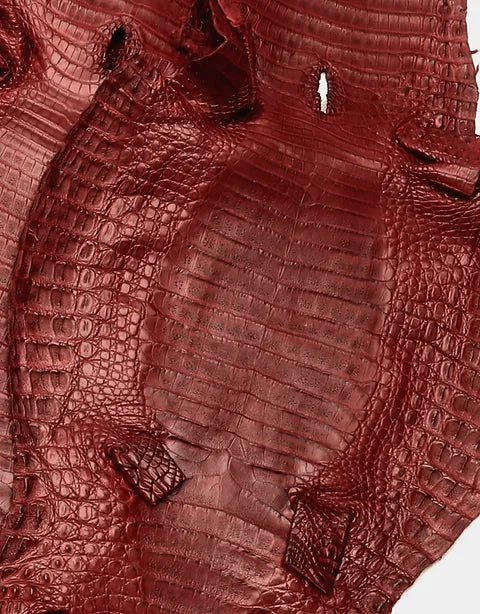 Caiman Belly