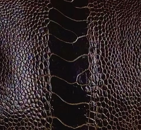 Ostrich Leg