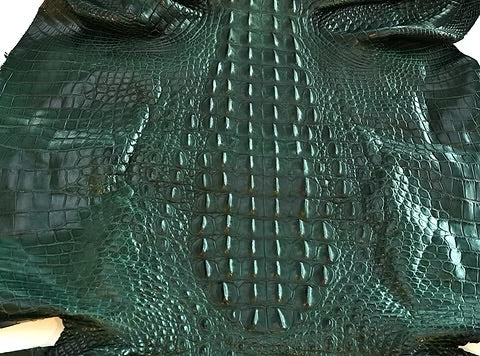 Nile Crocodile/Back Cut