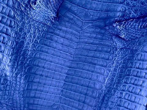 Caiman Belly