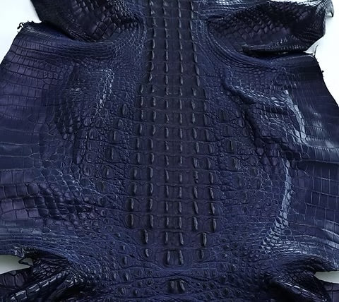 Nile Crocodile/Back Cut