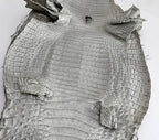 Caiman/Customize