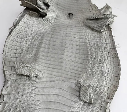 Caiman/Customize