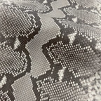 Python/Customize