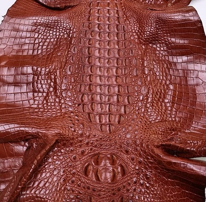 Nile Crocodile/Customize