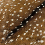 Deer (Grade 1)/Customize