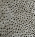 Ostrich/Customize