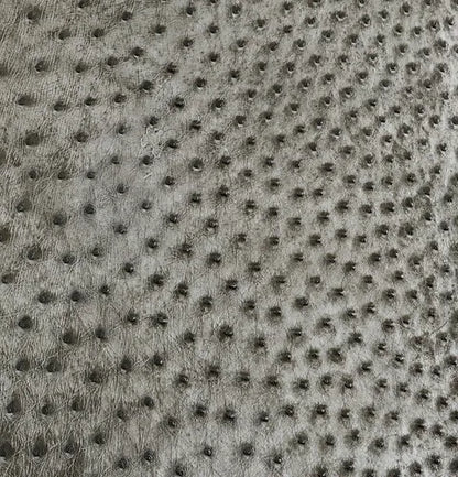 Ostrich/Customize