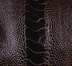 Ostrich Leg/Customize