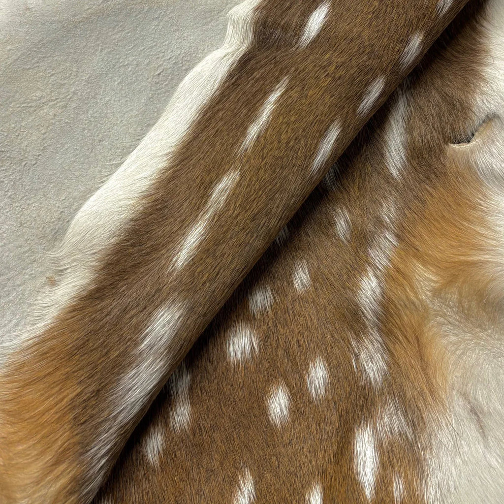 Deer (Grade 1)/Customize
