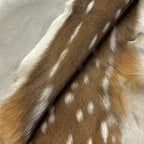 Deer (Grade 1)/Customize