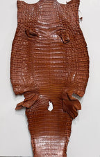 Caiman/Customize