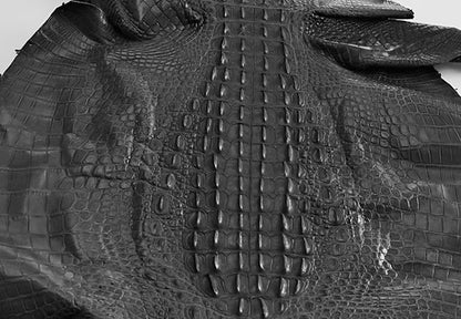 Nile Crocodile/Customize