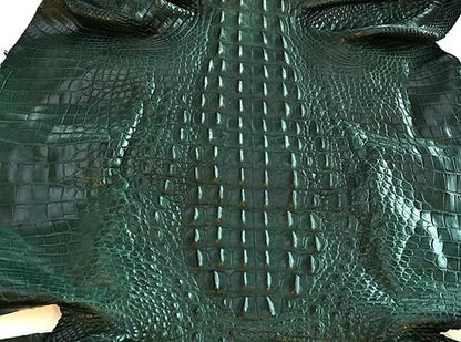 Nile Crocodile/Customize