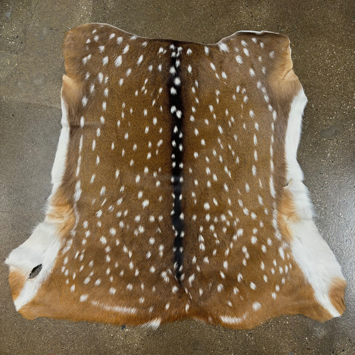 Deer (Grade 1)/Customize