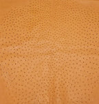 Ostrich/Customize