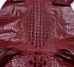Nile Crocodile/Customize