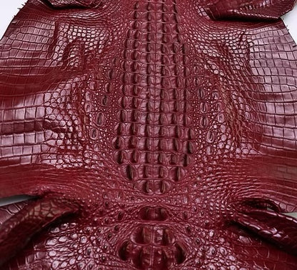 Nile Crocodile/Customize