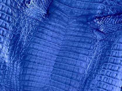 Caiman/Customize
