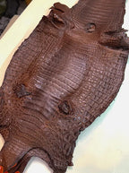 Caiman/Customize